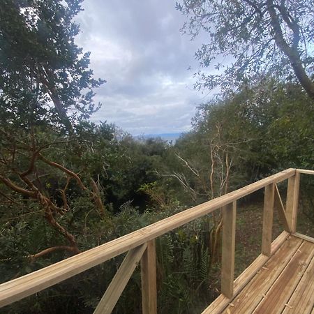 Bordemundo B&B Y Cabanas Puerto Varas Dış mekan fotoğraf